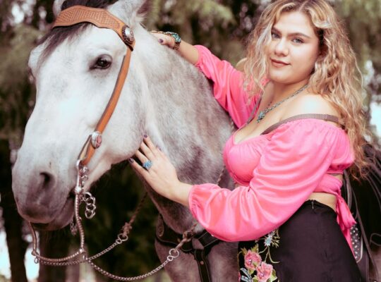 Arabian Horses for Sale Perfect for Riding and Showing Majestic and Elegant