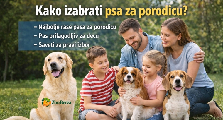 Kako izabrati psa za porodicu – vodič za pravi izbor kućnog ljubimca