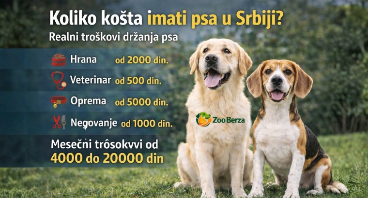 Koliko košta imati psa u Srbiji – realni troškovi koje treba znati
