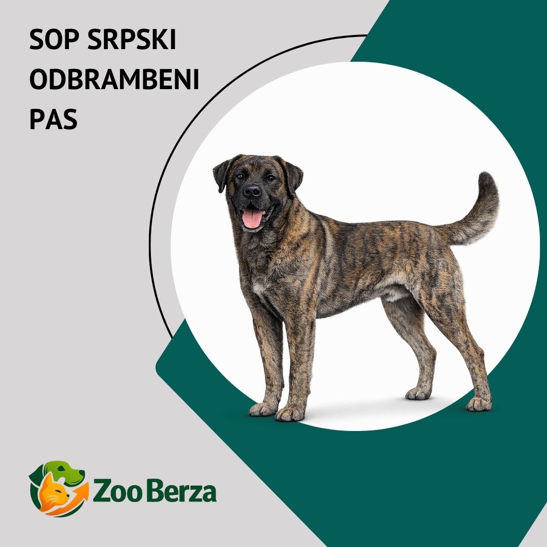 SOP (Srpski odbrambeni pas)