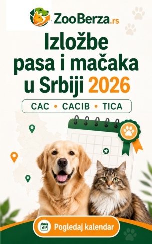 Izložbe pasa i mačaka u Srbiji 2026 – kompletan kalendar na ZooBerza.rs