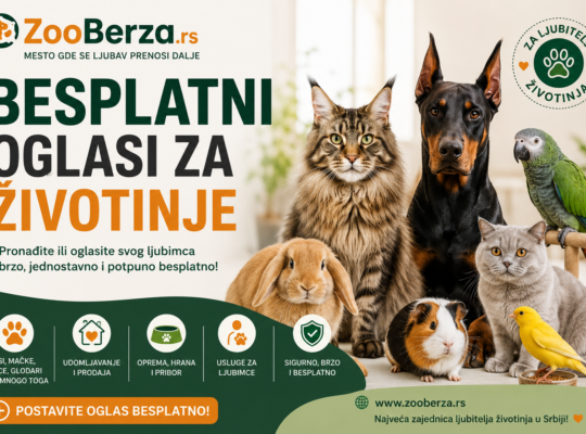 Besplatni oglasi za životinje