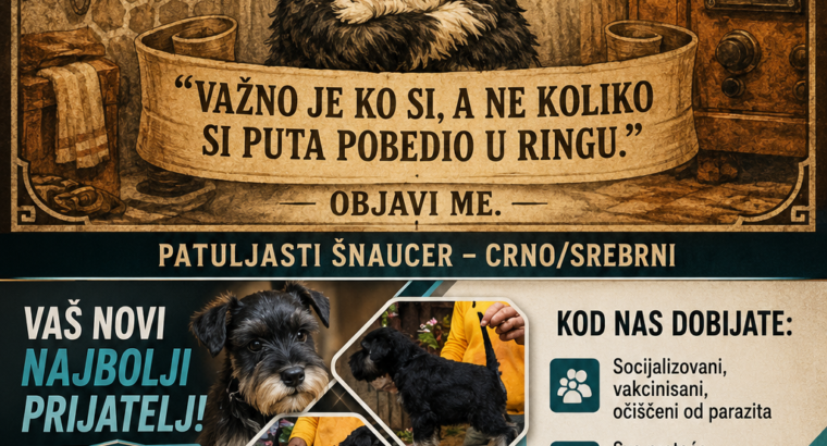 Šnaucer štenci