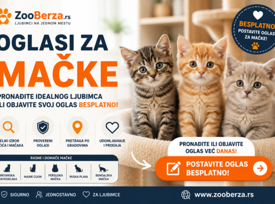 Oglasi za mačke