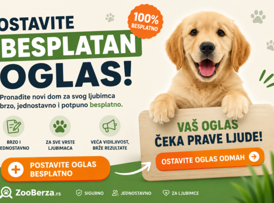 Oglasi za pse