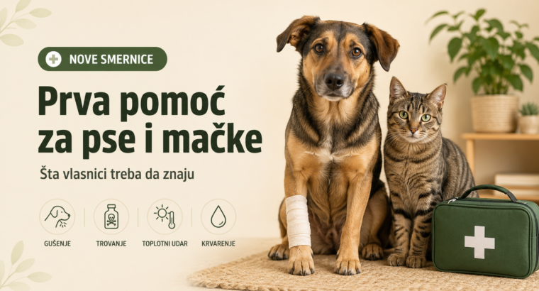 Objavljene prve naučno zasnovane smernice za prvu pomoć psima i mačkama: Evo šta vlasnici treba da urade