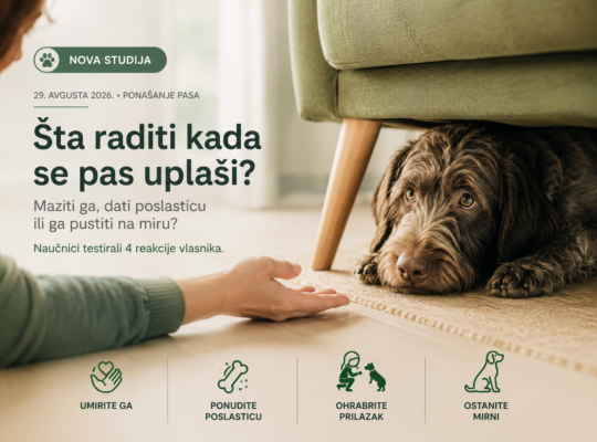 Pas se uplašio: maziti ga, dati poslasticu ili ga pustiti na miru? Nova studija testirala 4 reakcije vlasnika