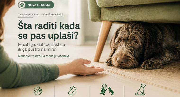 Pas se uplašio: maziti ga, dati poslasticu ili ga pustiti na miru? Nova studija testirala 4 reakcije vlasnika